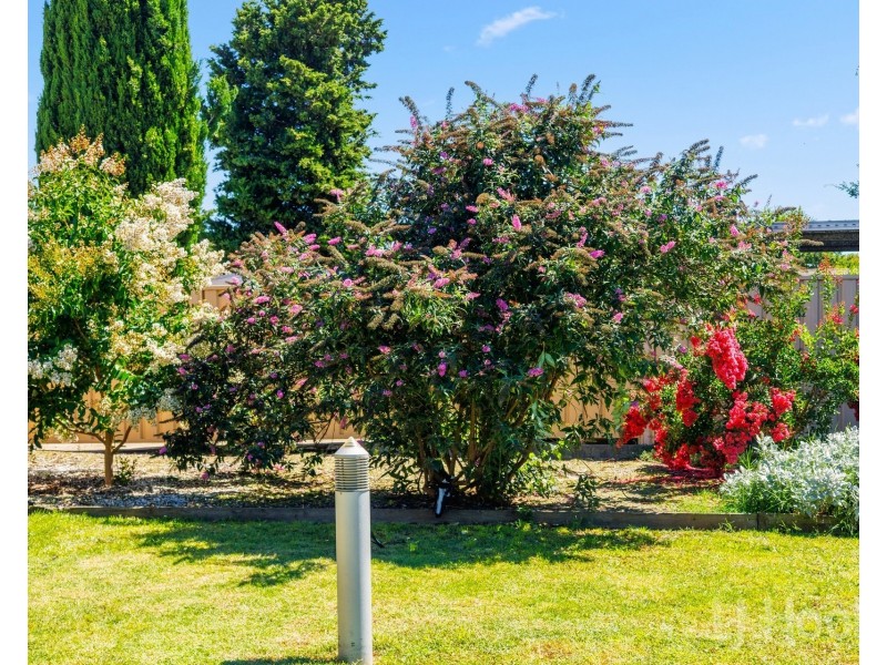 8/11-15 Campbell Street, Queanbeyan NSW 2620