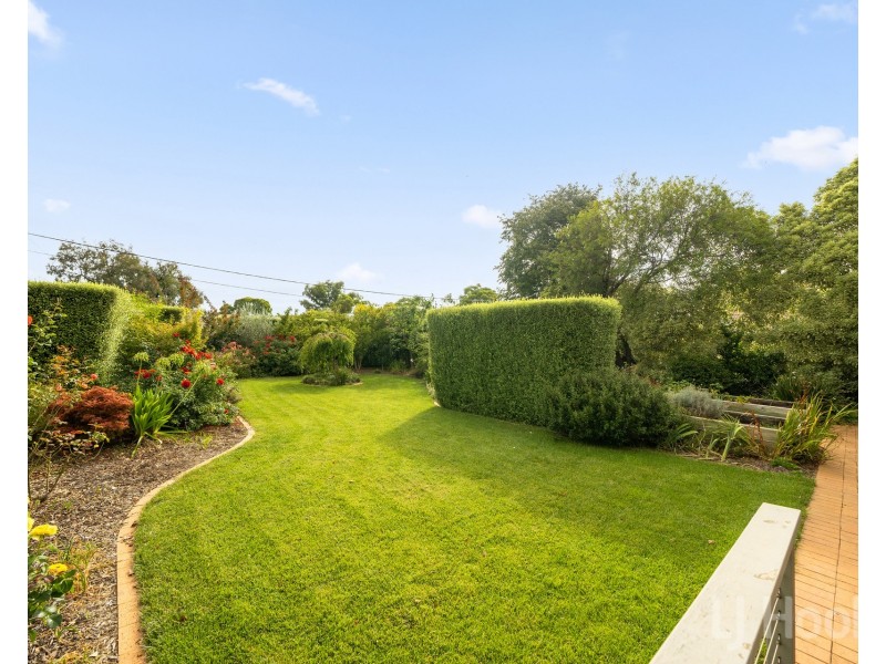 97 Darwinia Terrace, Rivett ACT 2611