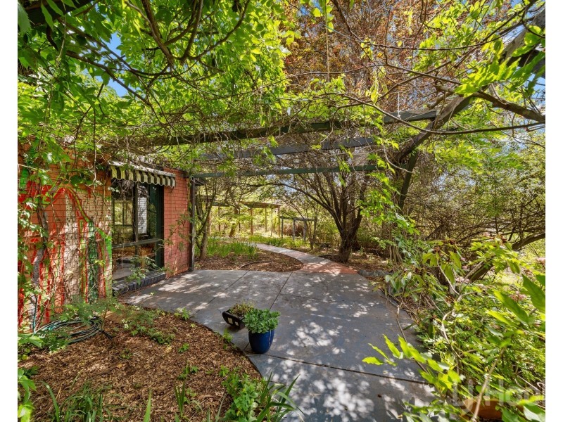 1386 Urila Road, Tinderry NSW 2620