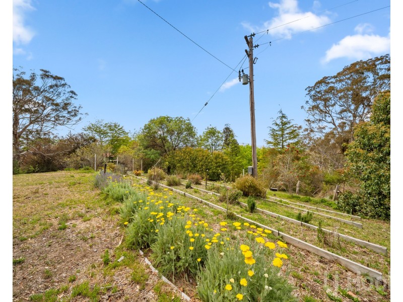 1386 Urila Road, Tinderry NSW 2620