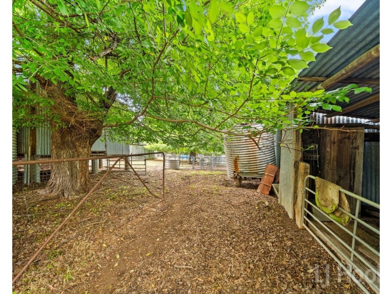 855 Sutton Road, Majura ACT 2609