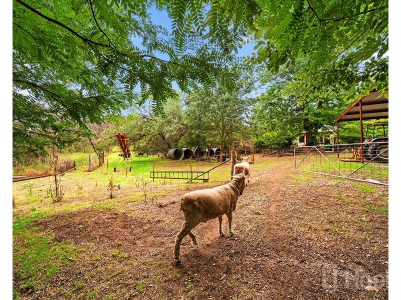 855 Sutton Road, Majura ACT 2609