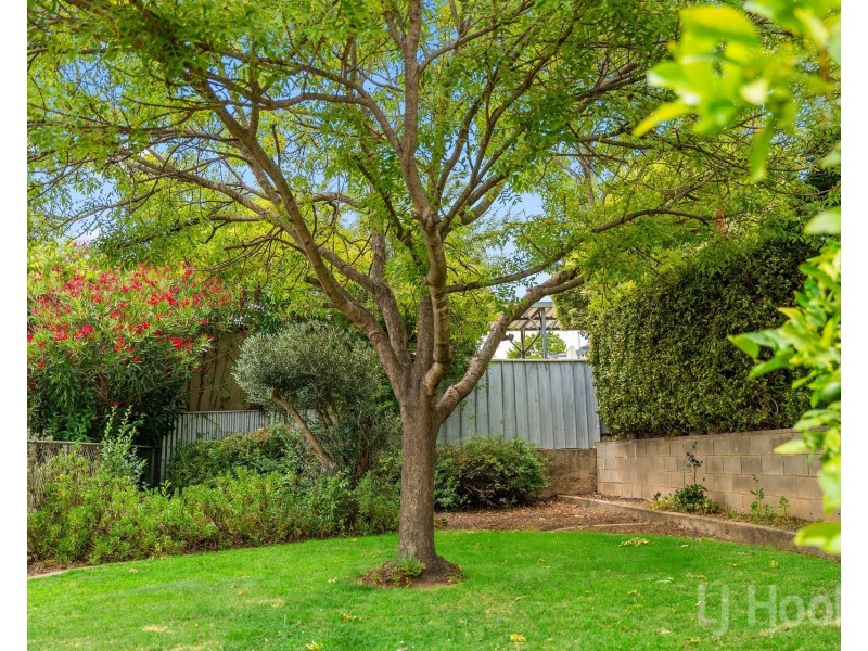 77 Morton Street, Crestwood NSW 2620