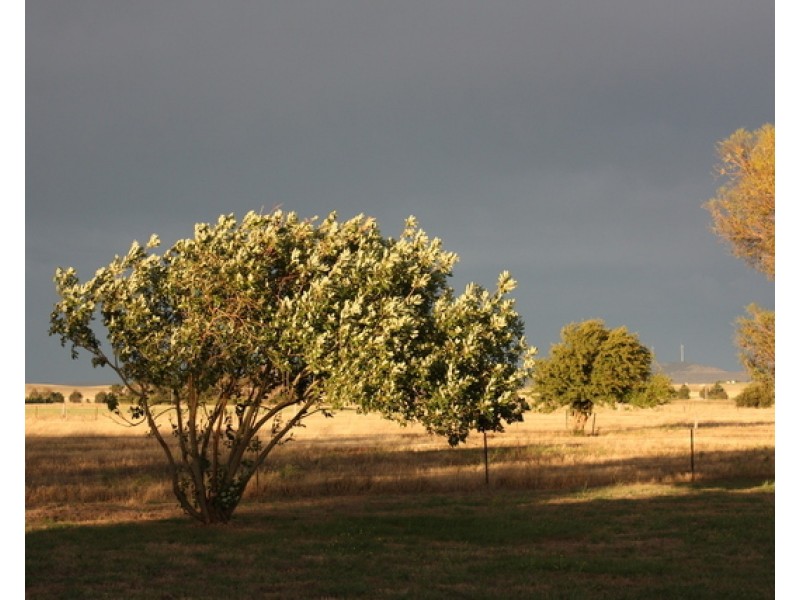 217 Tarago Road, Bungendore NSW 2621