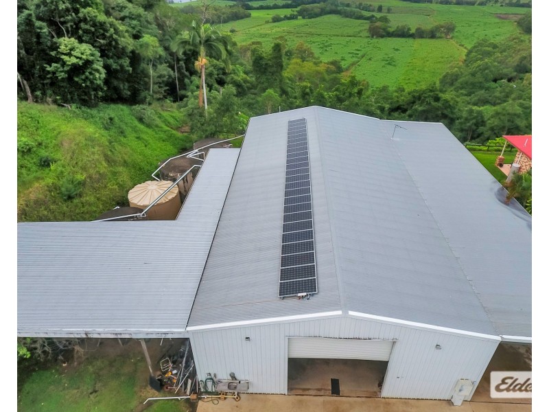 1189 Yakapari-Seaforth Road, Mount Jukes QLD 4740