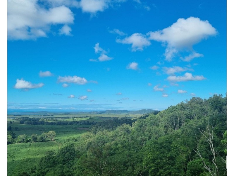 1189 Yakapari-Seaforth Road, Mount Jukes QLD 4740