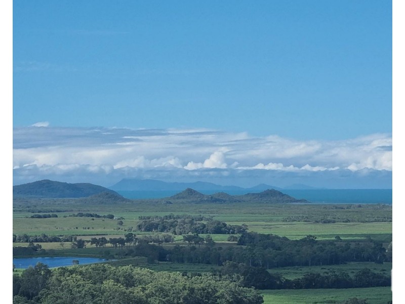 1189 Yakapari-Seaforth Road, Mount Jukes QLD 4740