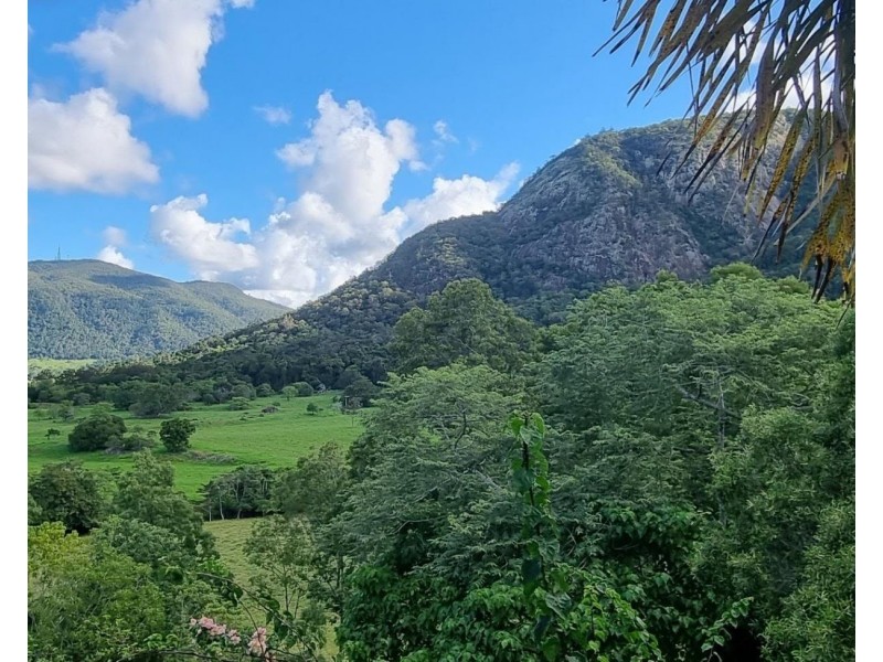 1189 Yakapari-Seaforth Road, Mount Jukes QLD 4740