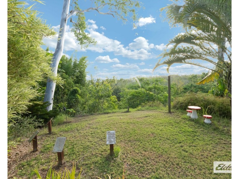 194 Yakapari-Habana Road, The Leap QLD 4740