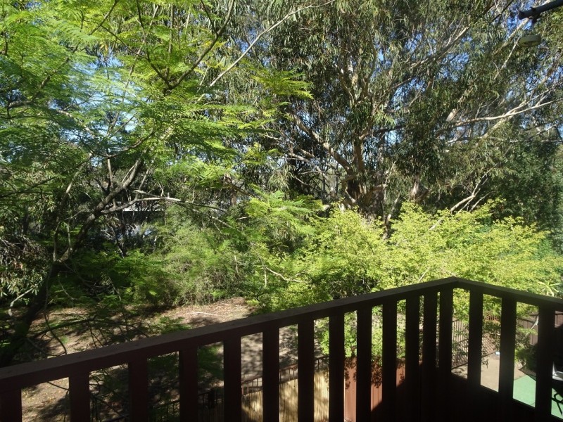 24/12 Alma Road, Padstow NSW 2211