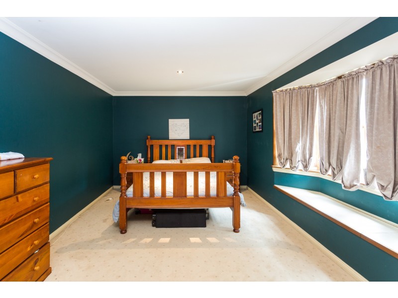 81 Thomas Street, Picnic Point NSW 2213