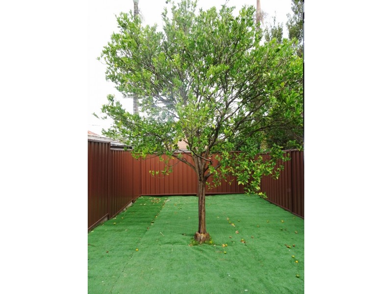 1/25 Dravet Street, Padstow NSW 2211