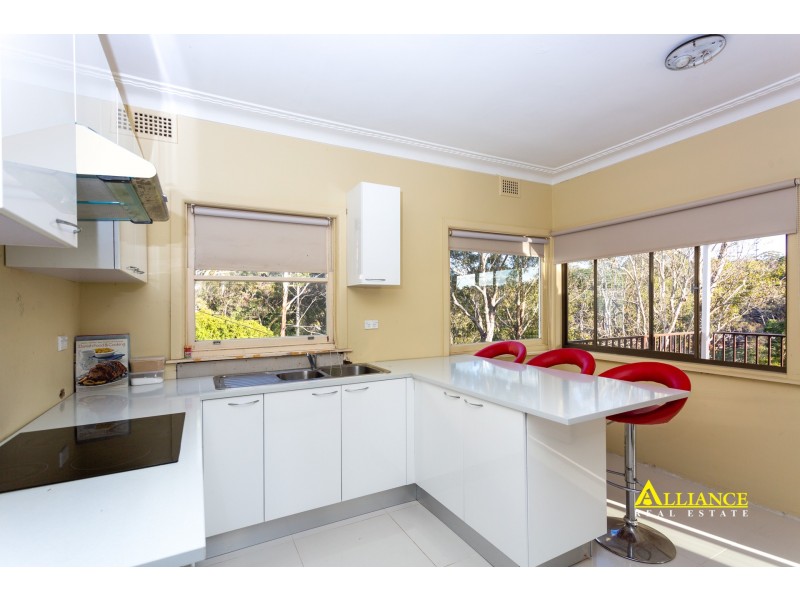 14 Carinya Road, Picnic Point NSW 2213