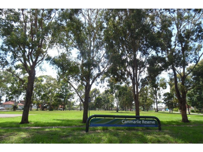 20 Cammarlie Street, Panania NSW 2213