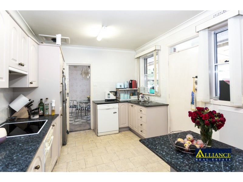 20 Mae Crescent, Panania NSW 2213