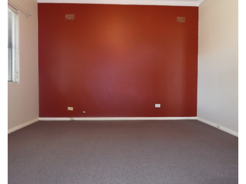 109 Tower Street, Panania NSW 2213