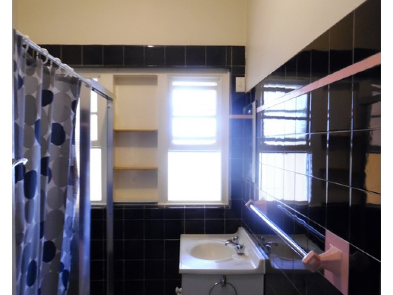 109 Tower Street, Panania NSW 2213