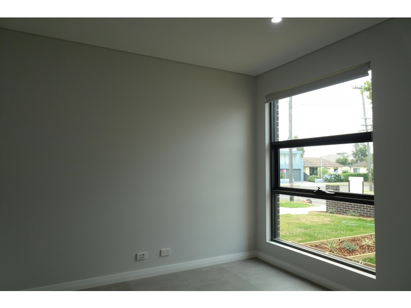 117 Horsley Road, Panania NSW 2213