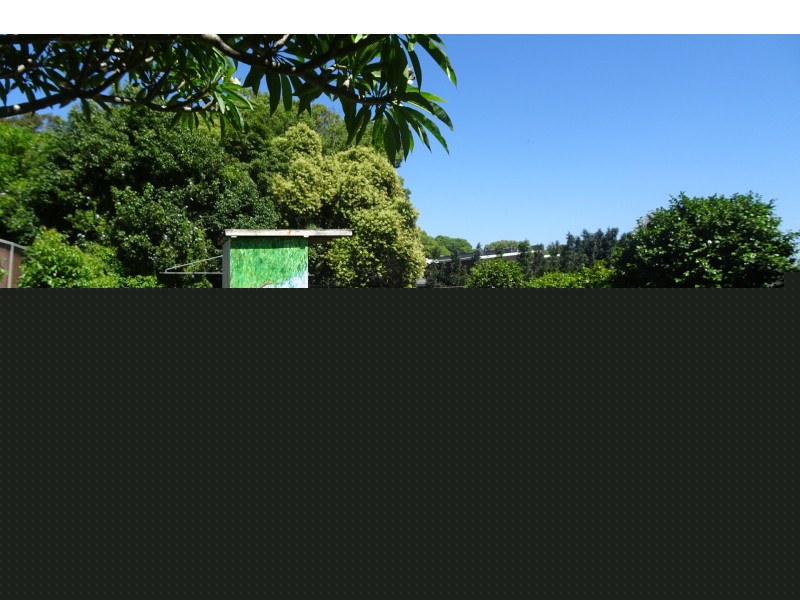 21 Argyle Street, Penshurst NSW 2222