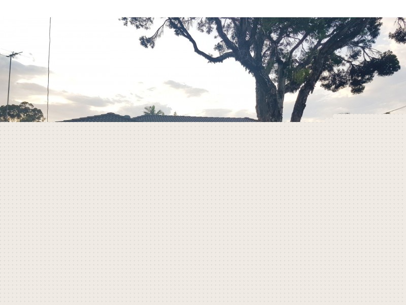 10 Ganmain Crescent, Milperra NSW 2214