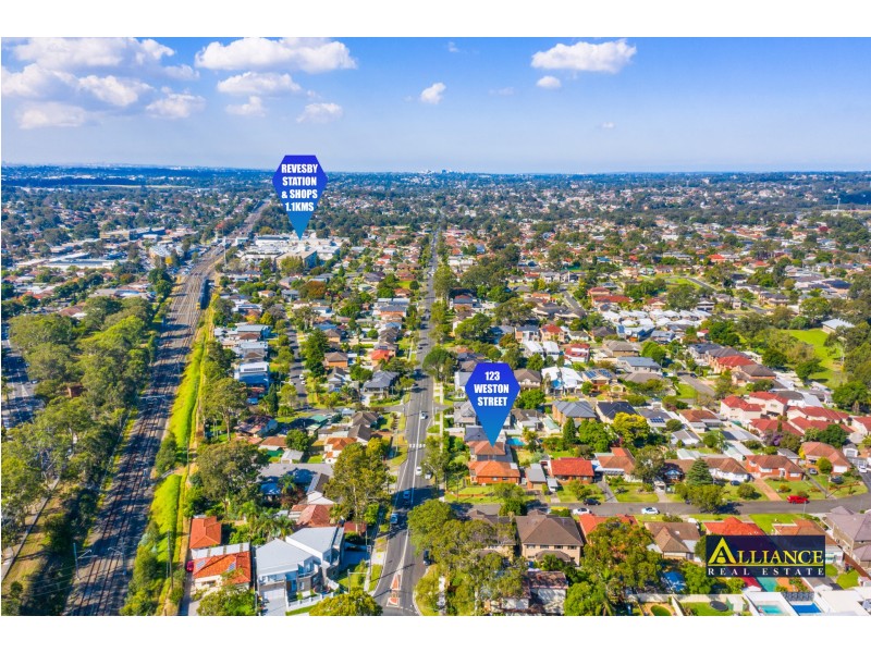 123 Weston Street, Panania NSW 2213