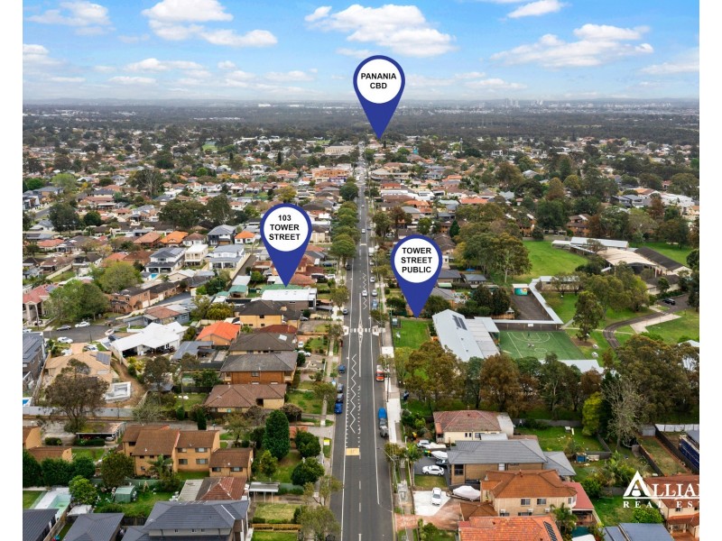 103 Tower Street, Panania NSW 2213