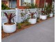 9 Parkview Avenue, Picnic Point NSW 2213