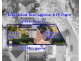 1 Thomas Street, Picnic Point NSW 2213