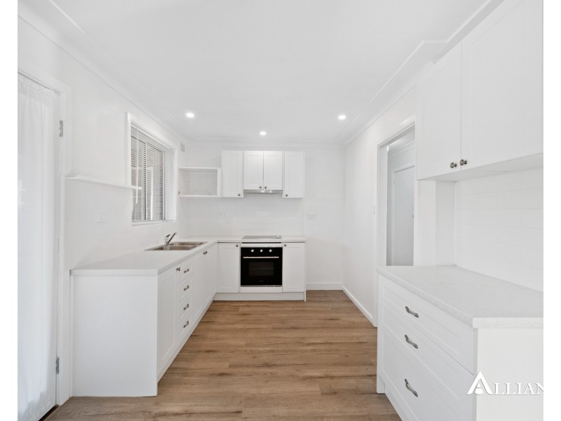 115 Lambeth Street, Panania NSW 2213