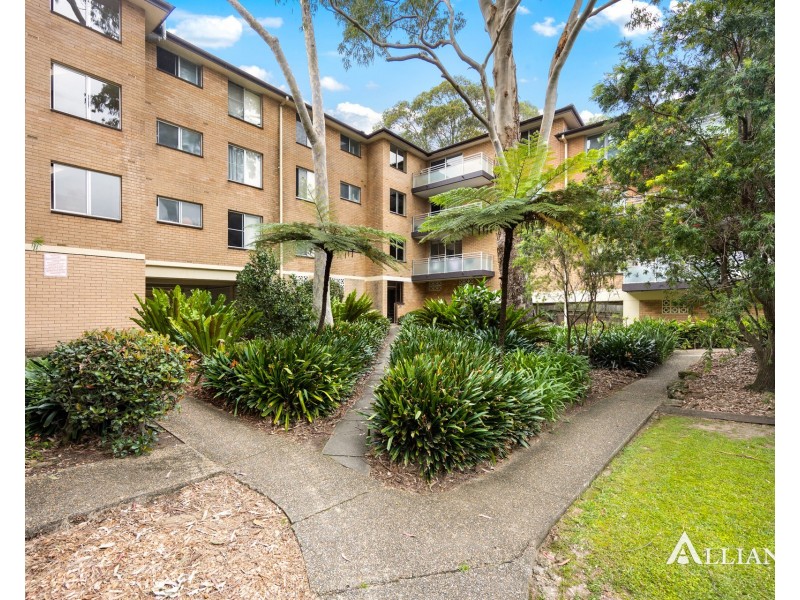 53/1C Kooringa Road, Chatswood NSW 2067