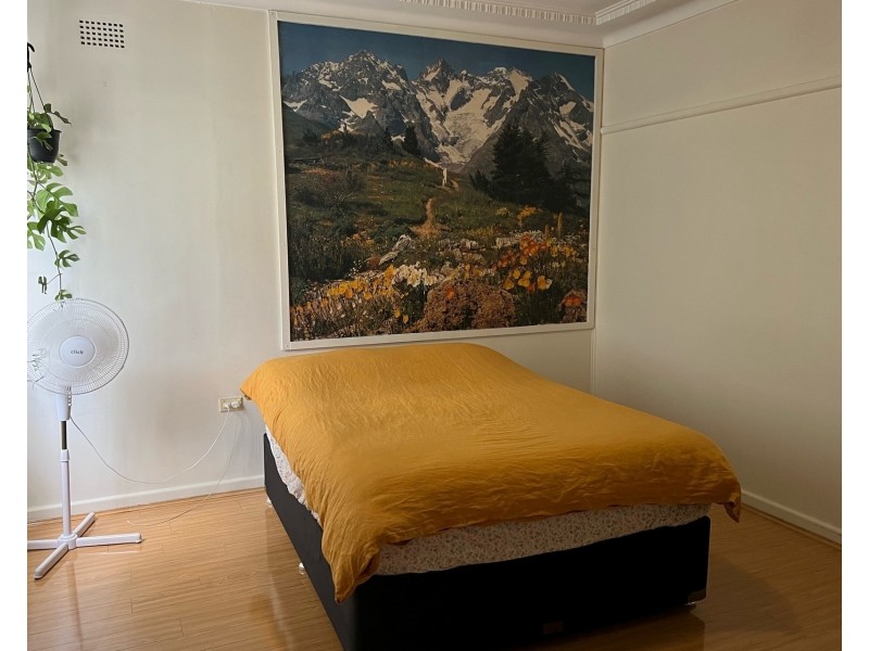 31 Lambeth Street, Panania NSW 2213