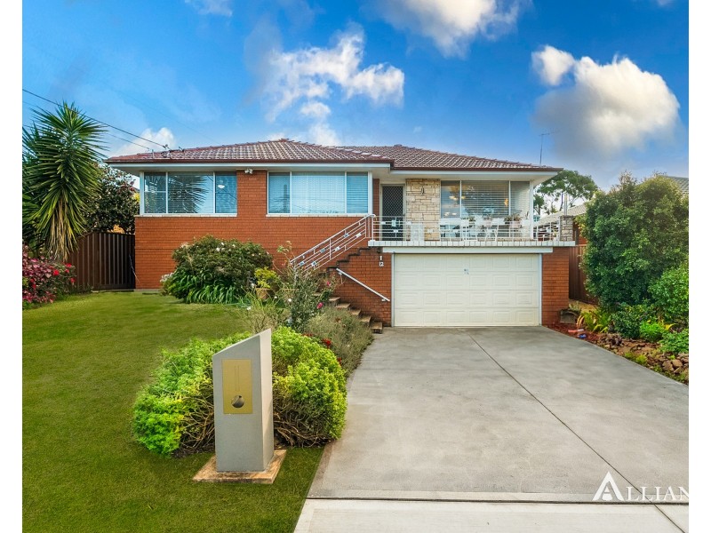 12 Douglas Street, Panania NSW 2213