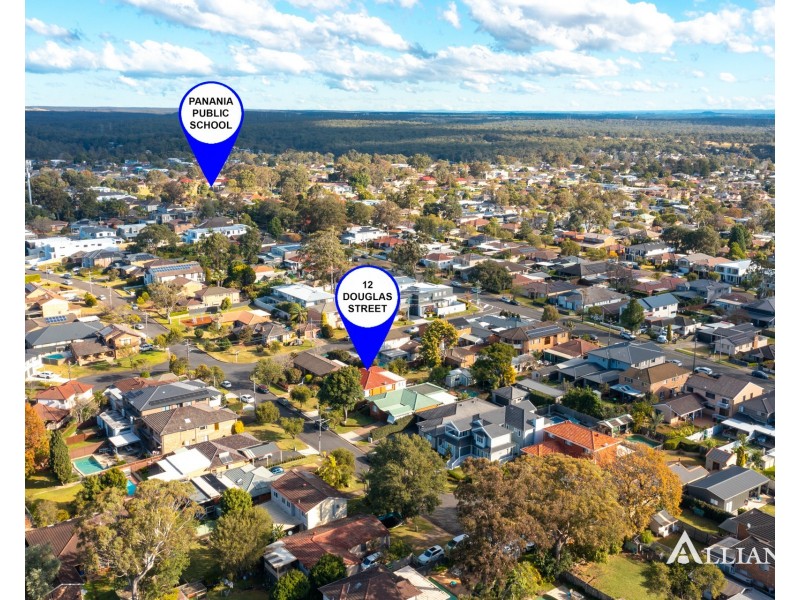 12 Douglas Street, Panania NSW 2213