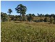 Redbank NSW 2446