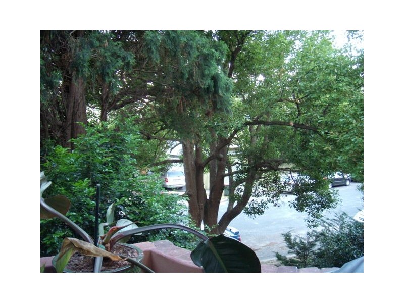 6/128 Francis Street, Bondi NSW 2026