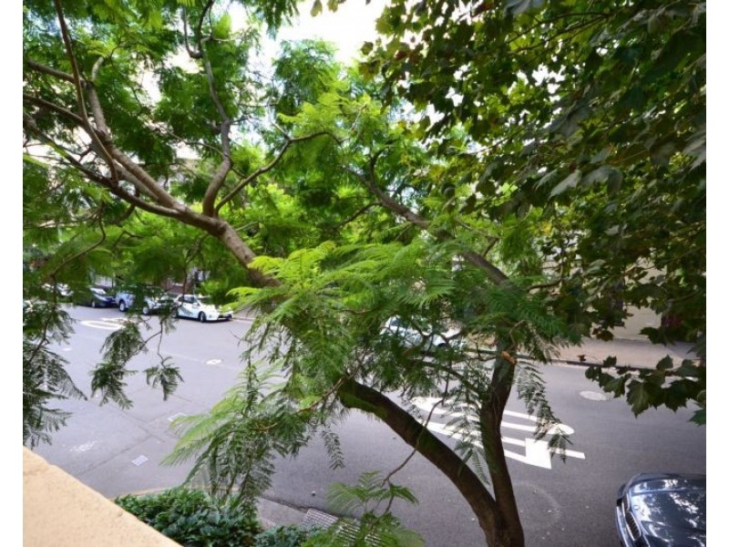 1/173 Cathedral Street, Woolloomooloo NSW 2011