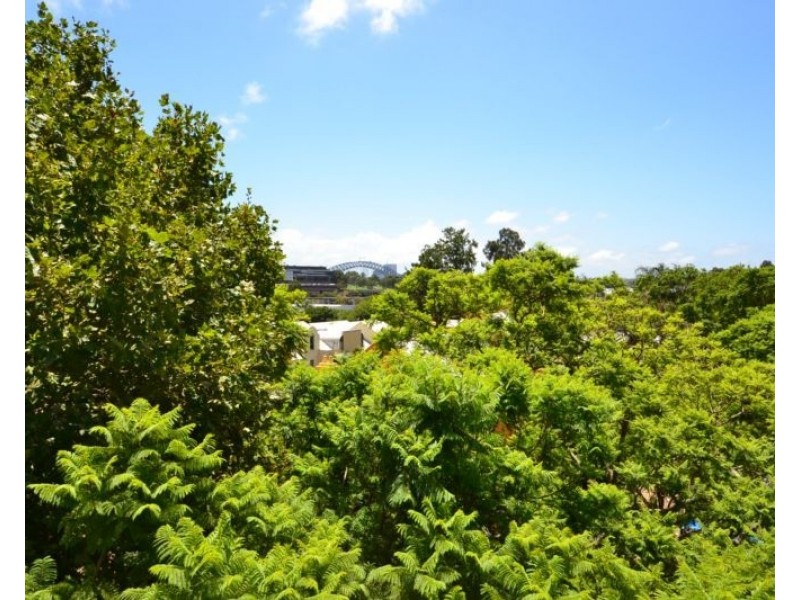 1/173 Cathedral Street, Woolloomooloo NSW 2011