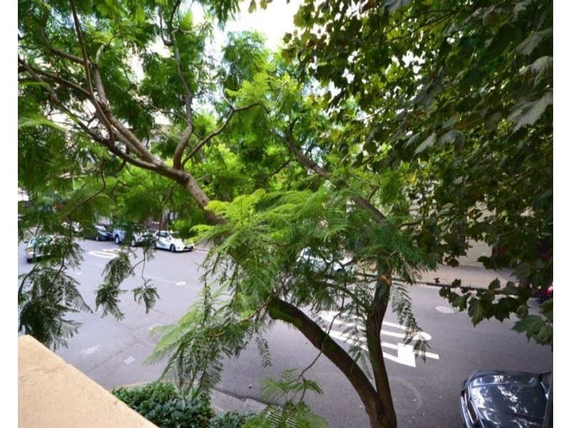 1/173-175 Cathedral Street, Woolloomooloo NSW 2011