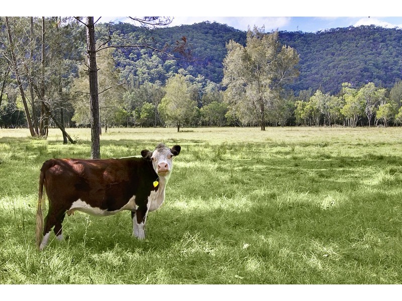 Wisemans Ferry NSW 2775