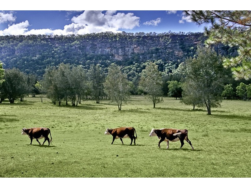 Wisemans Ferry NSW 2775