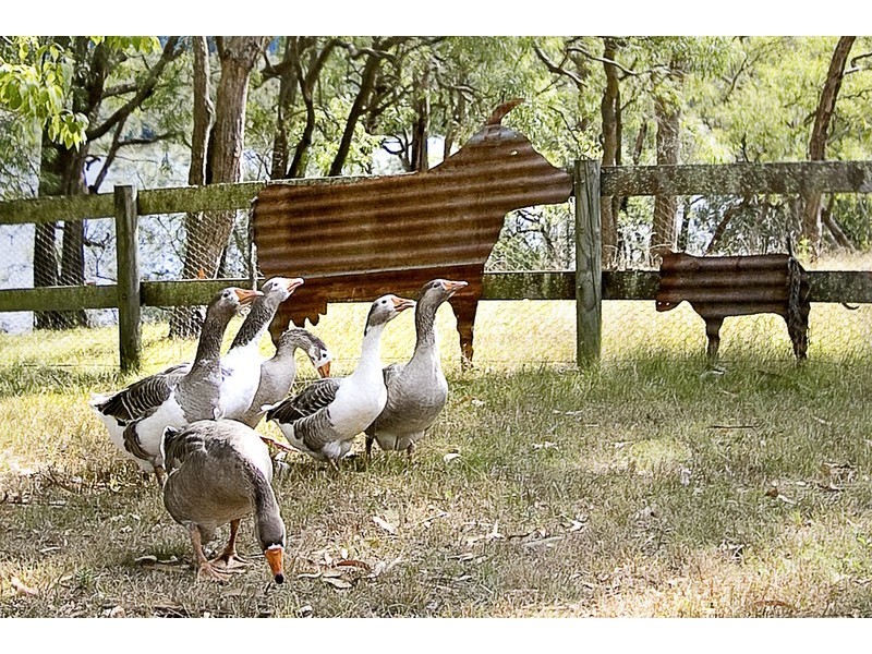 Wisemans Ferry NSW 2775