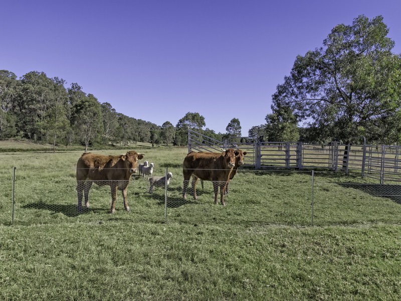 825 River Road, Lower Portland NSW 2756