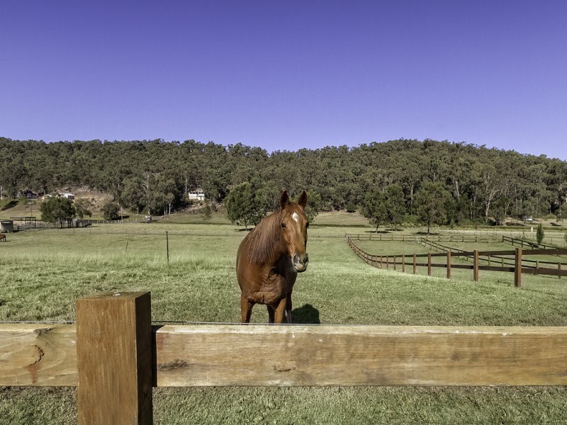 825 River Road, Lower Portland NSW 2756