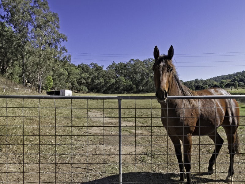 825 River Road, Lower Portland NSW 2756