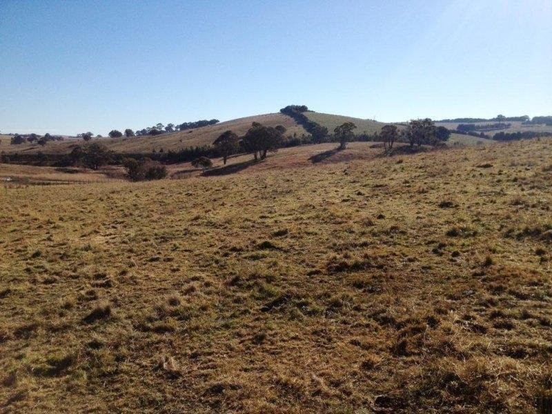 4 Walkom Road, Blayney NSW 2799