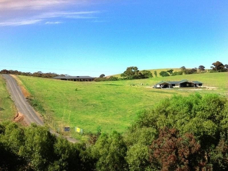 Lot 4 Walkom Road, Blayney NSW 2799