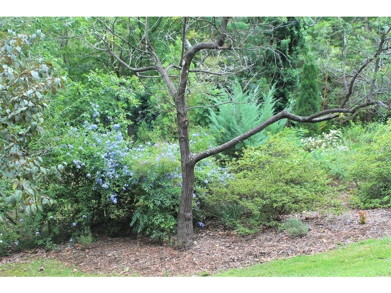 4816-4818 Wisemans Ferry Road, Spencer NSW 2775