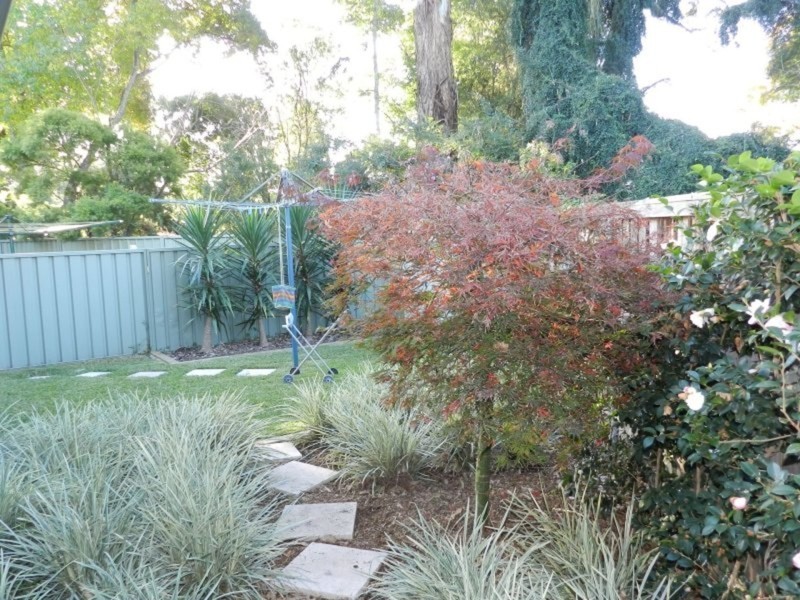 93 Bathurst Street, Pitt Town NSW 2756