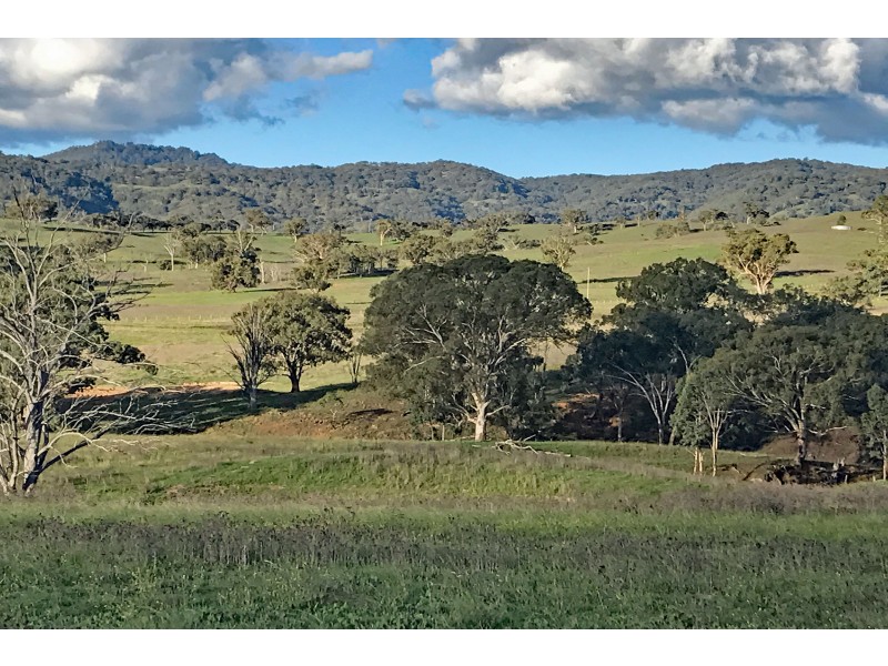 Cooleen South, Waverley Road, Scone NSW 2337