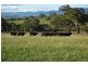 Cooleen South, Waverley Road, Scone NSW 2337